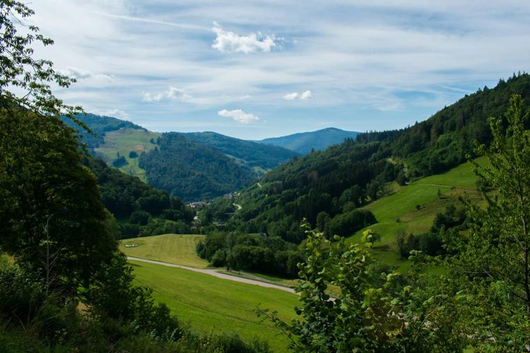 Weites Tal im Schwarzwald
