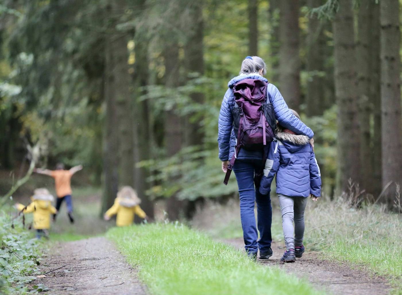 Familie auf einem Waldweg
