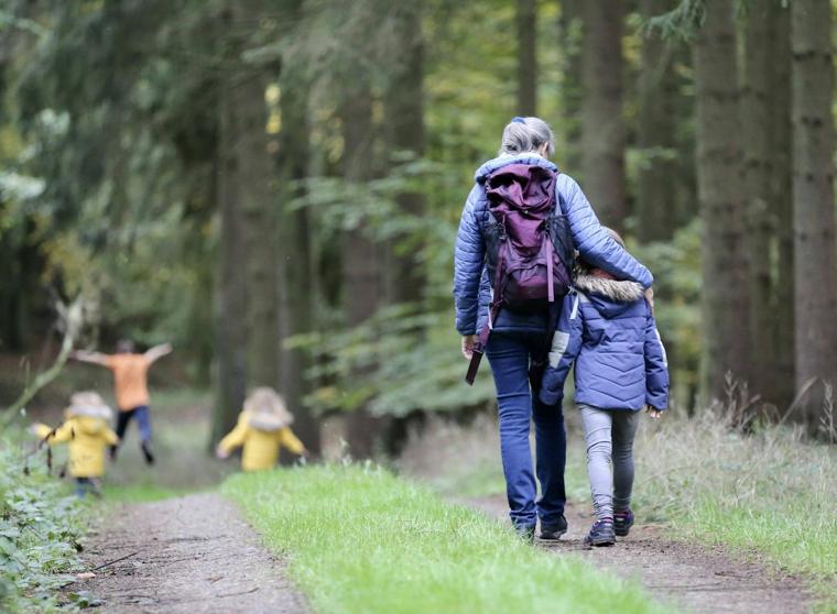 Familie auf einem Waldweg