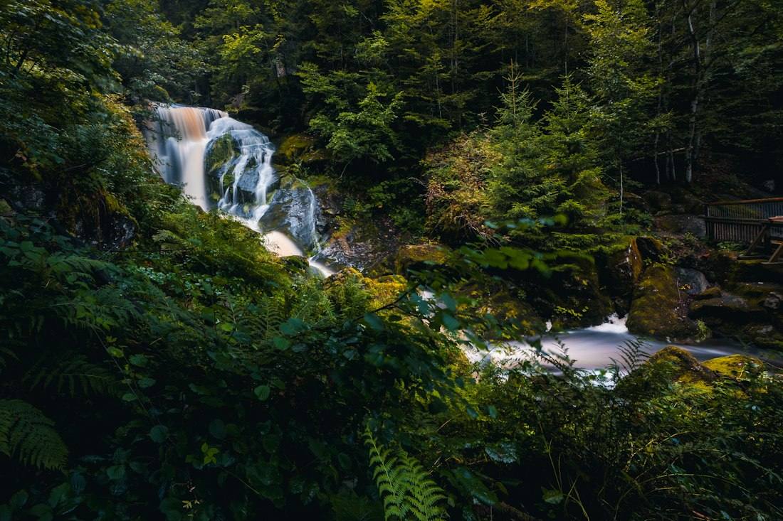 Wasserfall im Wald